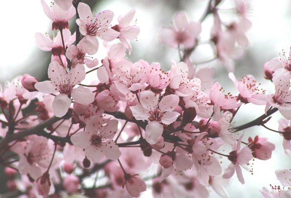 pasqua matera offerte